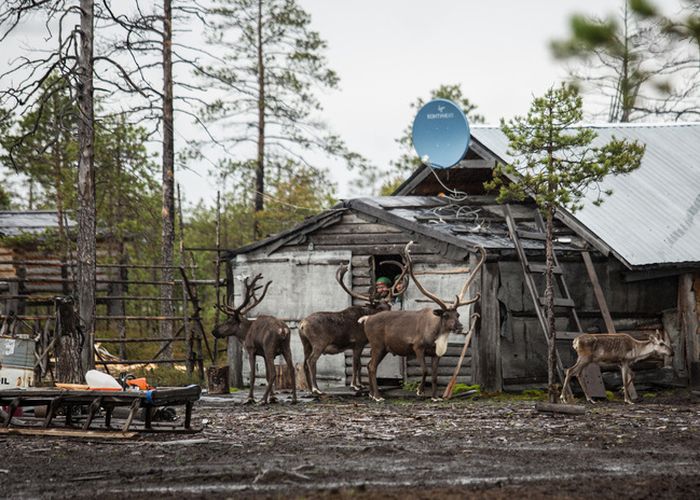 Первый съезд старейшин коренных малочисленных народов Севера  Сургутского района
