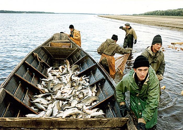 Образовано рыбодобывающее предприятие «Восход» с. Сытомино