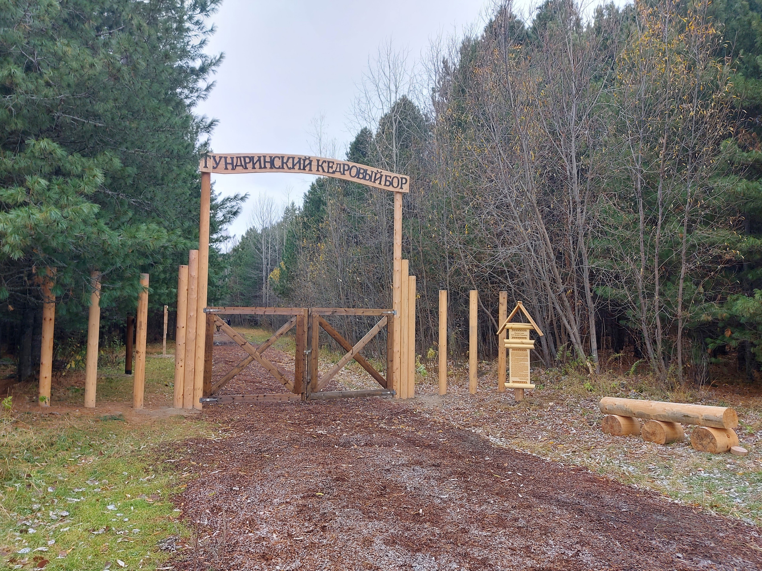 Открыта экотропа «Тундринский кедровый бор»