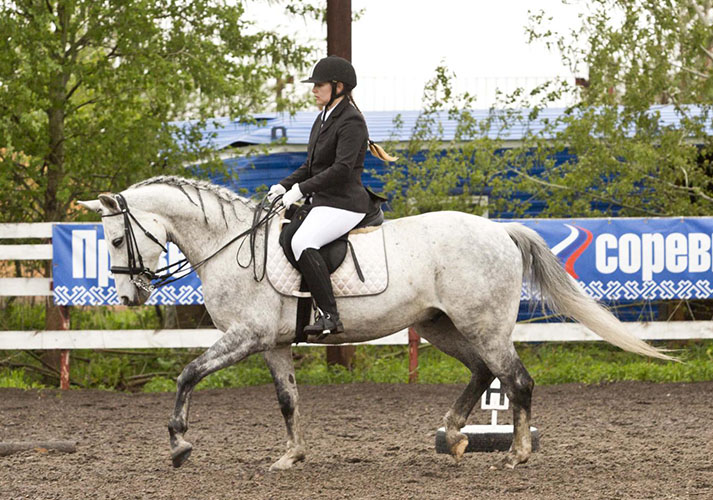 Первый Кубок Сургутского района по конному спорту