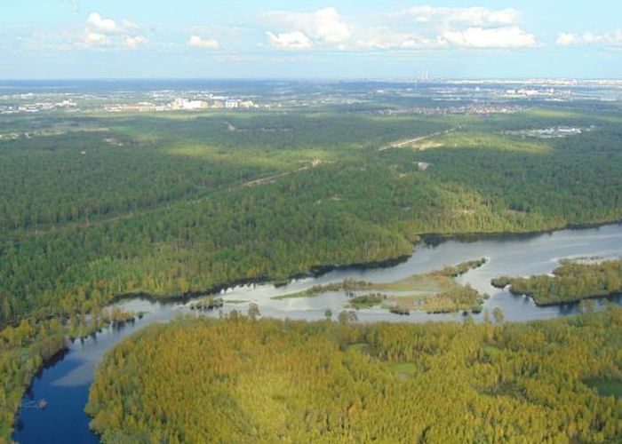 Стационарные раскопки в урочище «Барсова гора»