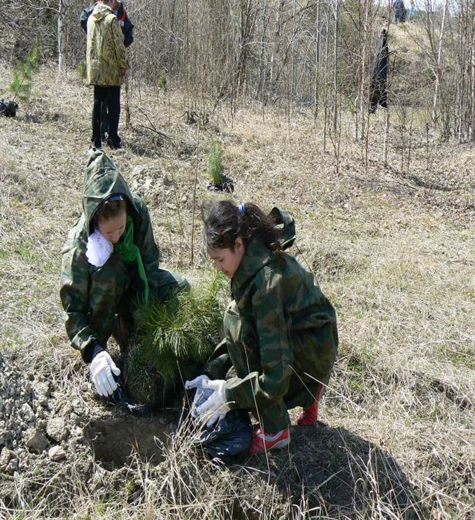 Создано школьное лесничество «Кедр» в с. Локосово